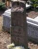 Grave of Stefan Adamczuk, died 1908